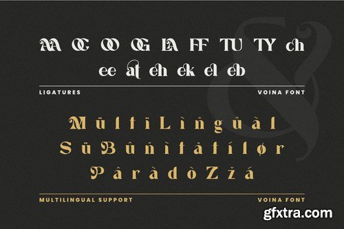 Voina Modern Font