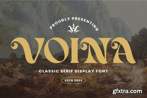 Voina Modern Font