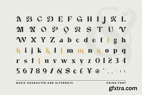 Voina Modern Font