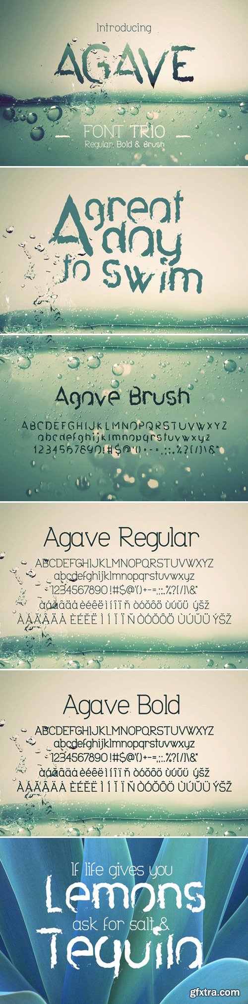 Agave Font Trio