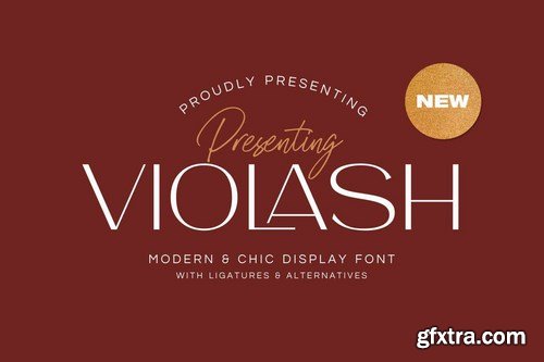 Violash Modern Font