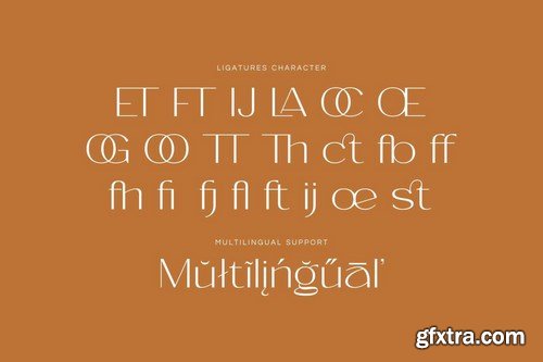 Violash Modern Font