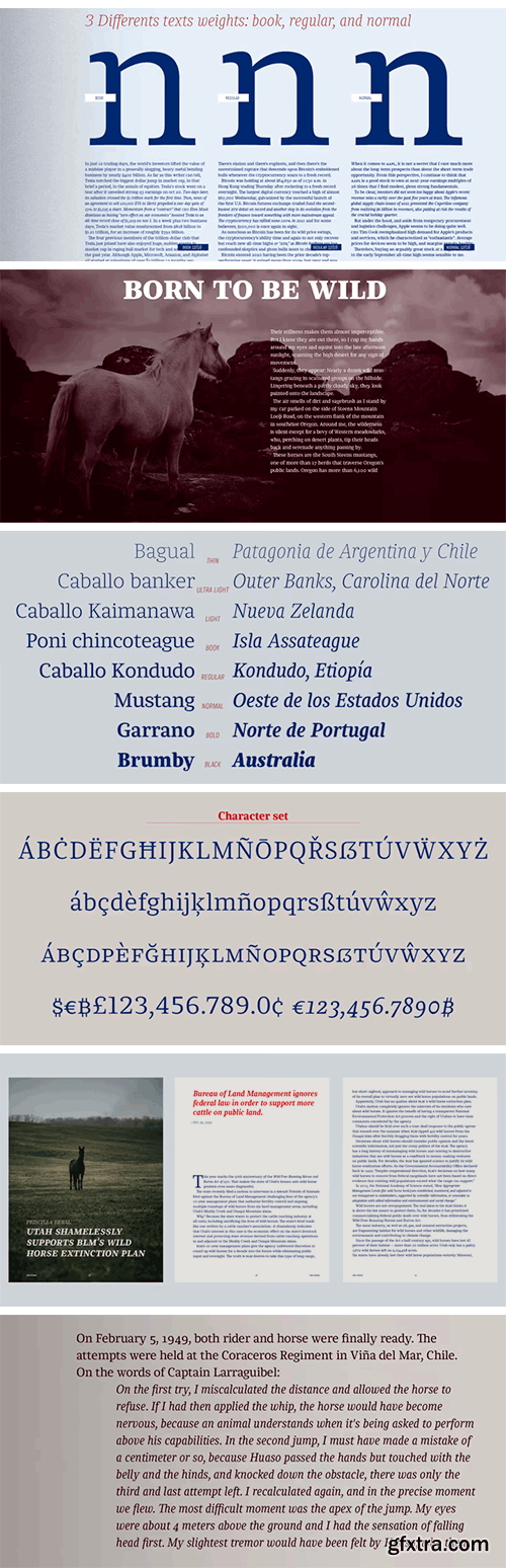 Chucara Next Font Family