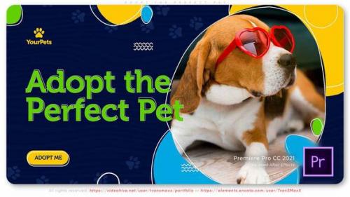 Videohive - Adopt the Perfect Pet - 37397475 - 37397475