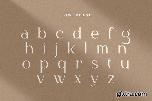 Dangmen - Luxury Ligature Serif