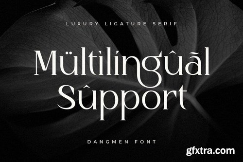 Dangmen - Luxury Ligature Serif