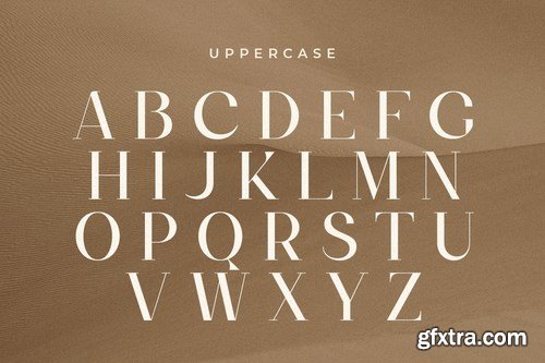 Alice - Feminine Elegant Stylish Font