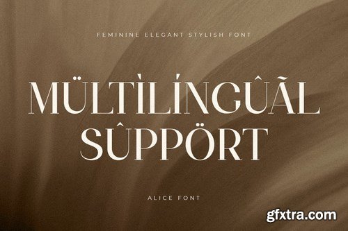 Alice - Feminine Elegant Stylish Font