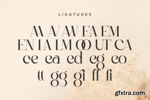 Alice - Feminine Elegant Stylish Font