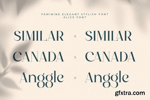 Alice - Feminine Elegant Stylish Font