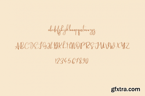  Amigos Font