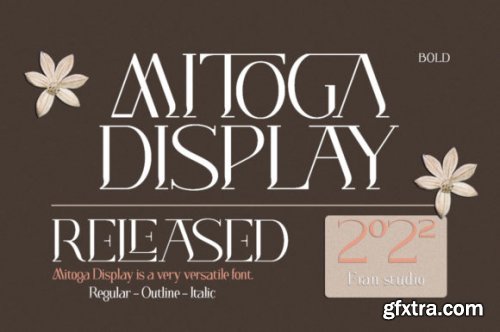 Mitoga Display Font 