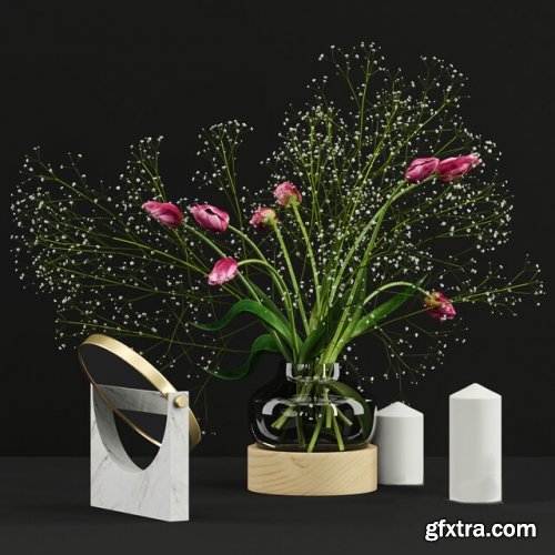 Pink tulips and gypsophila set