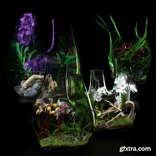 Terrarium vases with Orchids