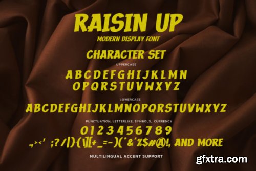 RAISIN UP - Modern Display Font