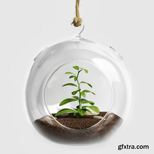 Terrarium for herbs