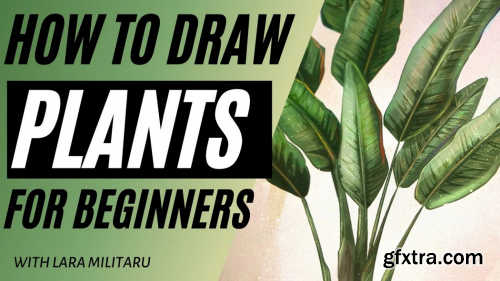  How to Draw Plants for Beginners (Procreate)