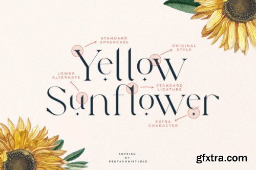 Joyfish | Lovely Serif Font