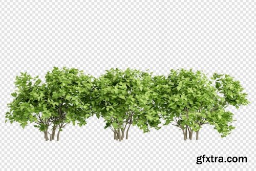 Plant in 3d rendering isolated Premium Psd 