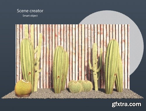 Various types of cactus 03 Premium Psd