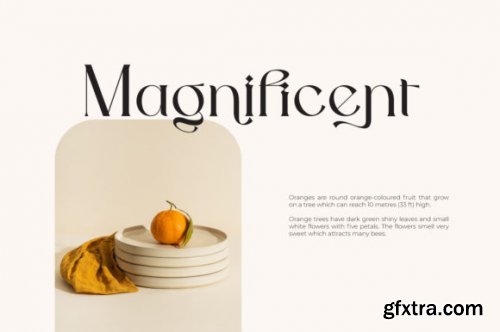 Shopia Elegant Serif