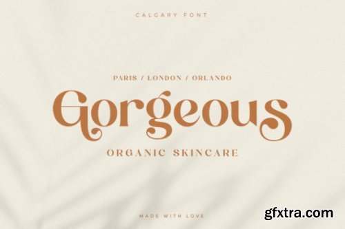 Calgary | New Stylish Serif Font