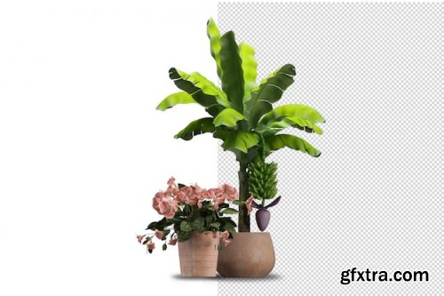 Render of isolated plant 05 Premium Psd