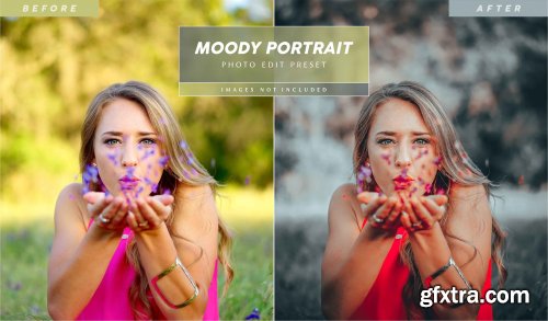 Editable moody portrait photo edit filter