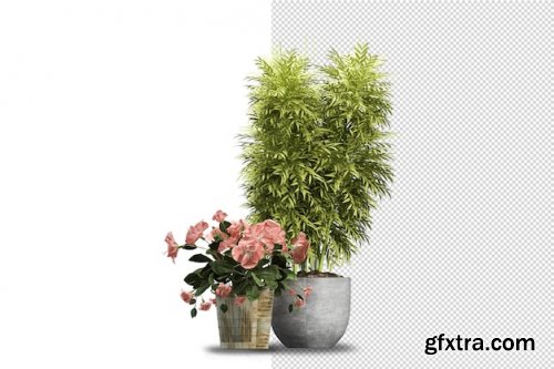 Render of isolated plant 06 Premium Psd