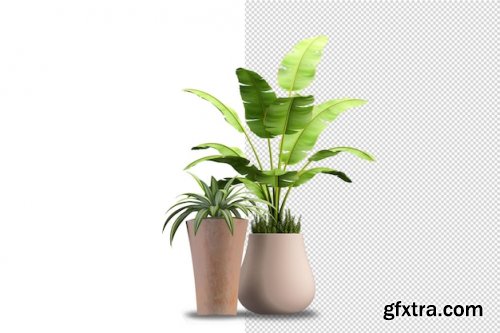 Render of isolated plant 07 Premium Psd