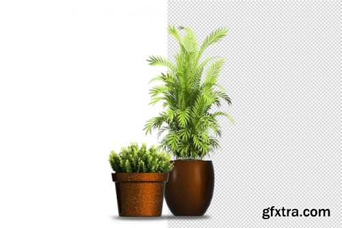 Render of isolated plant 09 Premium Psd