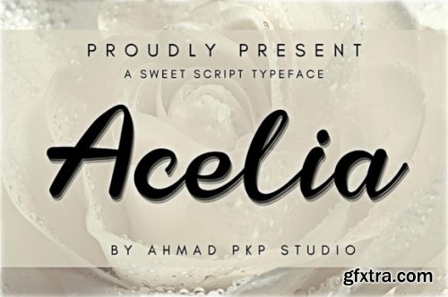 Acelia Font Script