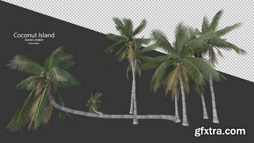 Coconut tree in 3d rendering