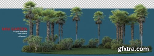 Palm tree in small garden Premium Psd