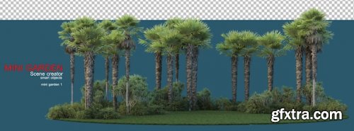 Palm tree in small garden Premium Psd