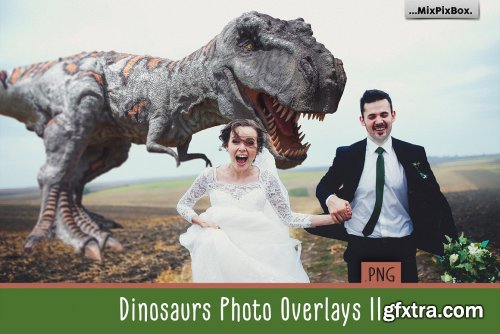 CreativeMarket - Dinosaur v.2 overlays 4044703