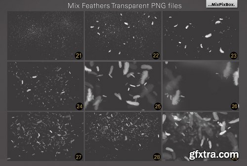 CreativeMarket - White Feathers Overlays 2982738