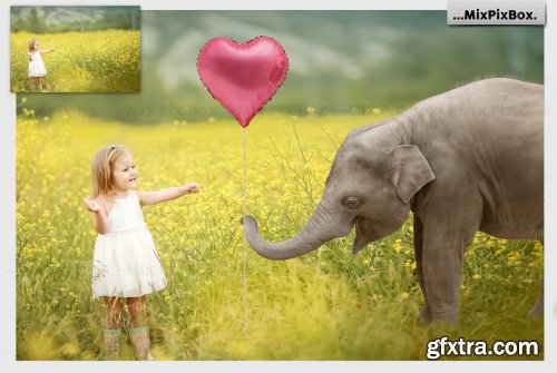 CreativeMarket - Baby Elephant Photo Overlays 5069631