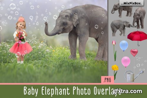 CreativeMarket - Baby Elephant Photo Overlays 5069631