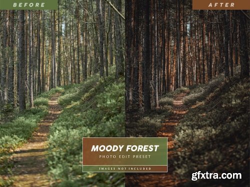 Editable moody forest picture preset for social media photos 