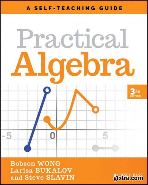 Practical Algebra: A Self-Teaching Guide (Wiley Self-Teaching Guides), 3rd Edition  