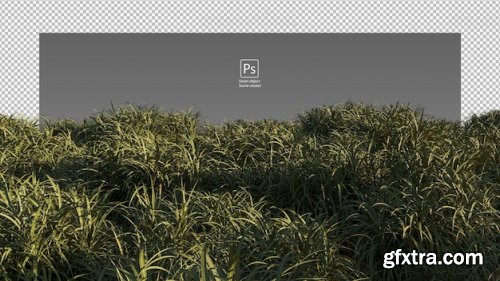 The road through the field Premium Psd