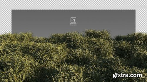 The road through the field Premium Psd