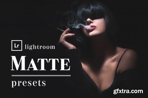 Matte Box - Actions and Presets