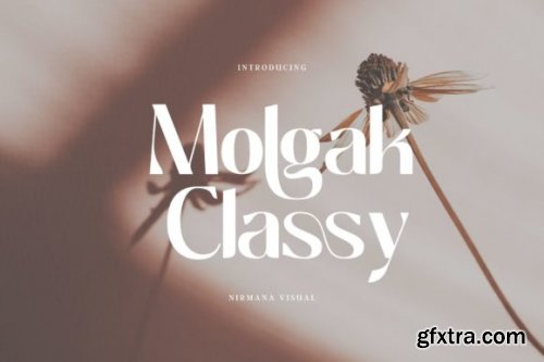  Molgak Classy Font