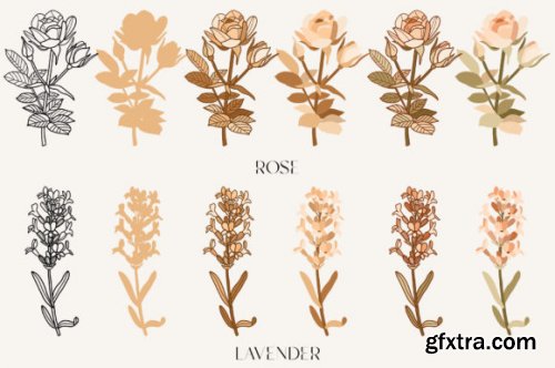 Cosmetic Flowers Vector Clipart