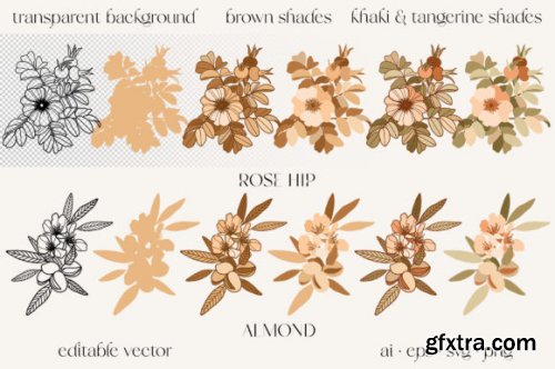 Cosmetic Flowers Vector Clipart