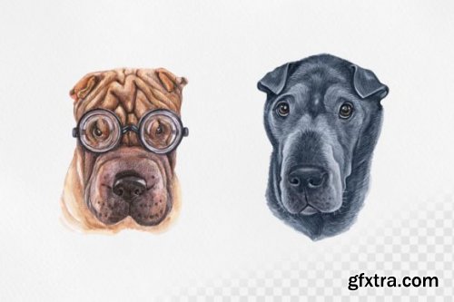 Watercolor Shar Pei Dog Set