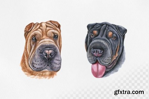 Watercolor Shar Pei Dog Set