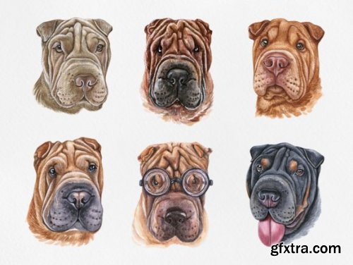 Watercolor Shar Pei Dog Set